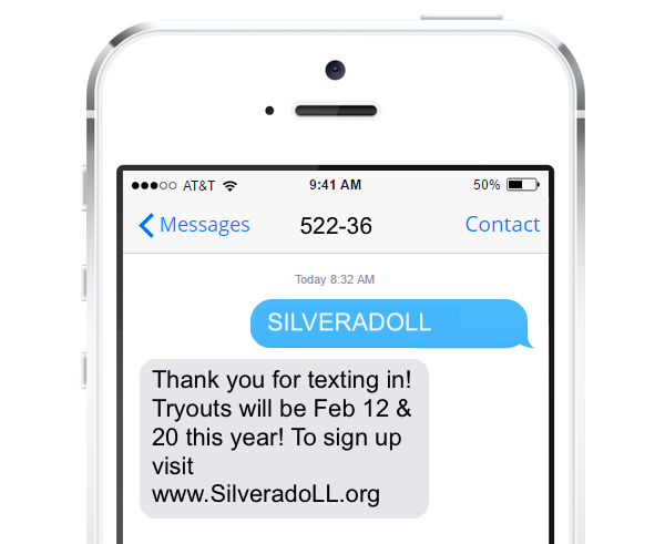 Little League Marketing Text ALN